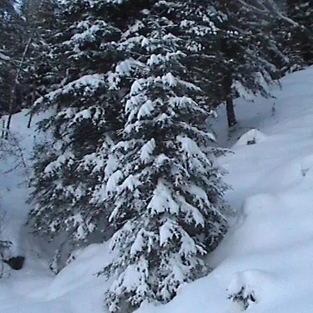 Han/Misafirhane Leiter's Hoamatl Umhausen